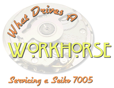 What Drives a Workhorse - Servicing a Seiko 7005